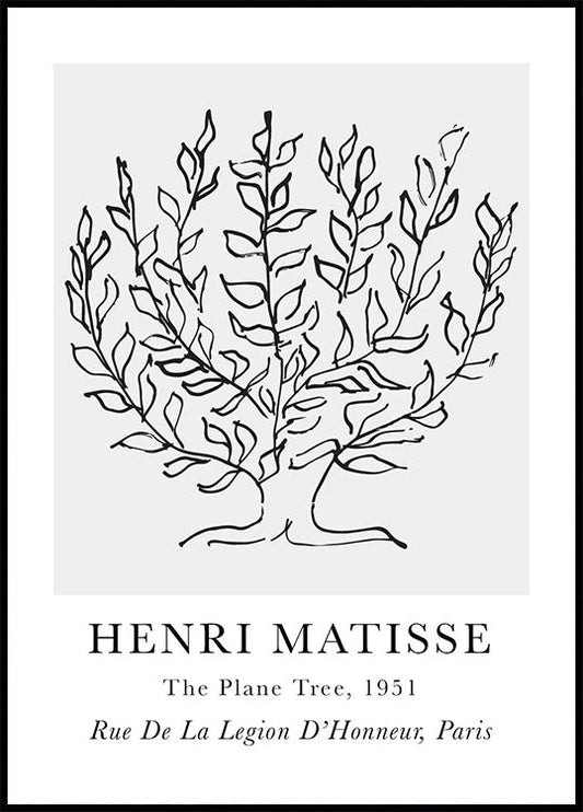 H. Matisse, Die Platane, Poster 