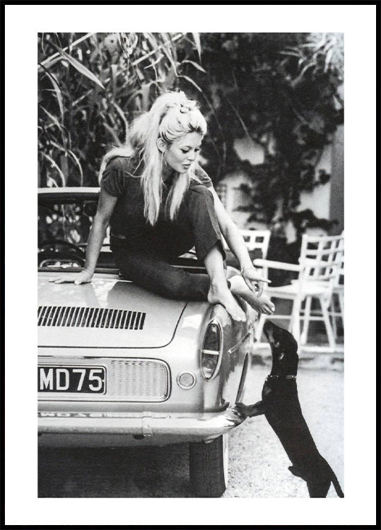 Brigitte Bardot 1962 Plakat - Posterbox.no