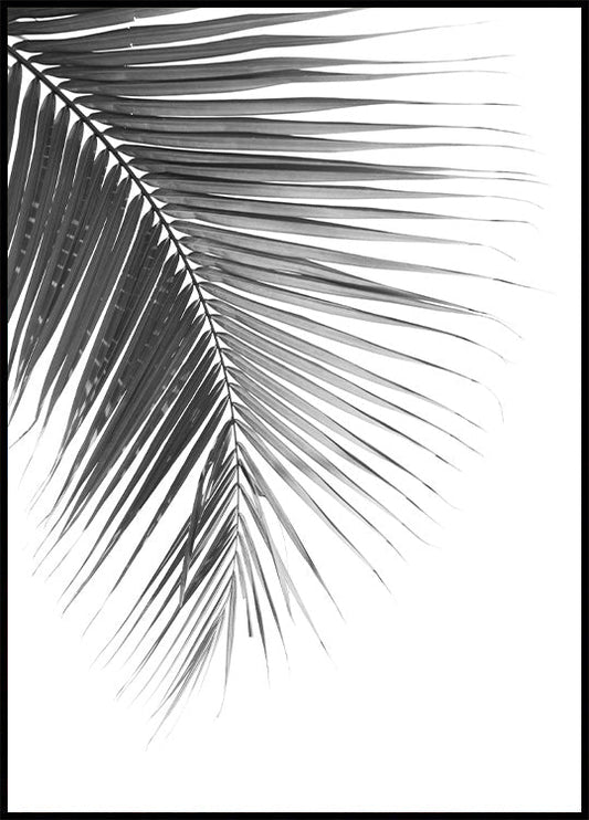 Elegant Palm Leaf Poster