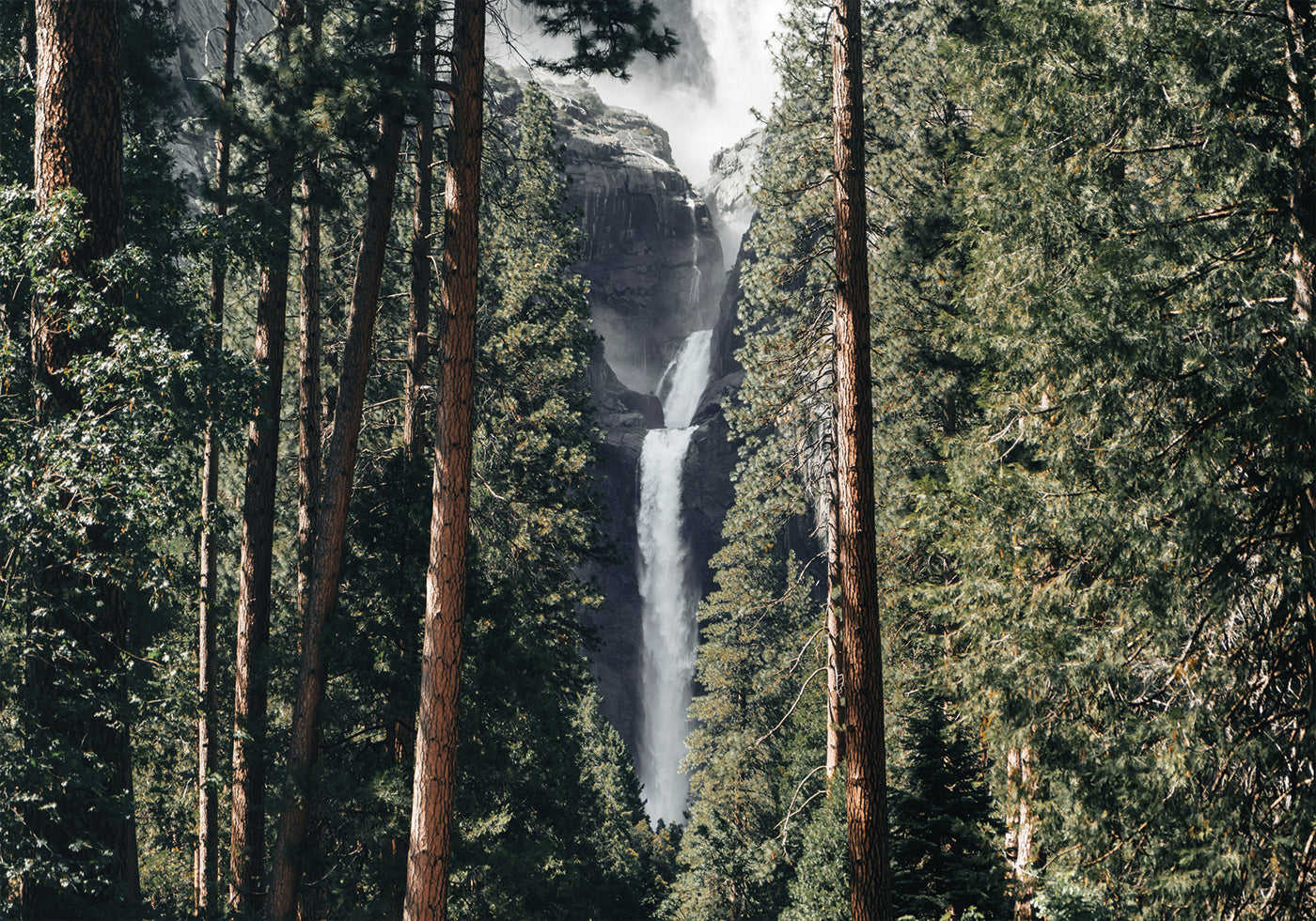 Poster Wasserfall im Wald 